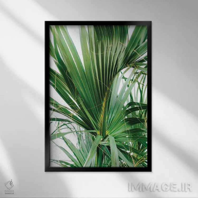 تابلو جزیره هیلتون هد ۵ اثر بثانی یانگ - نمای قابدار مشکی