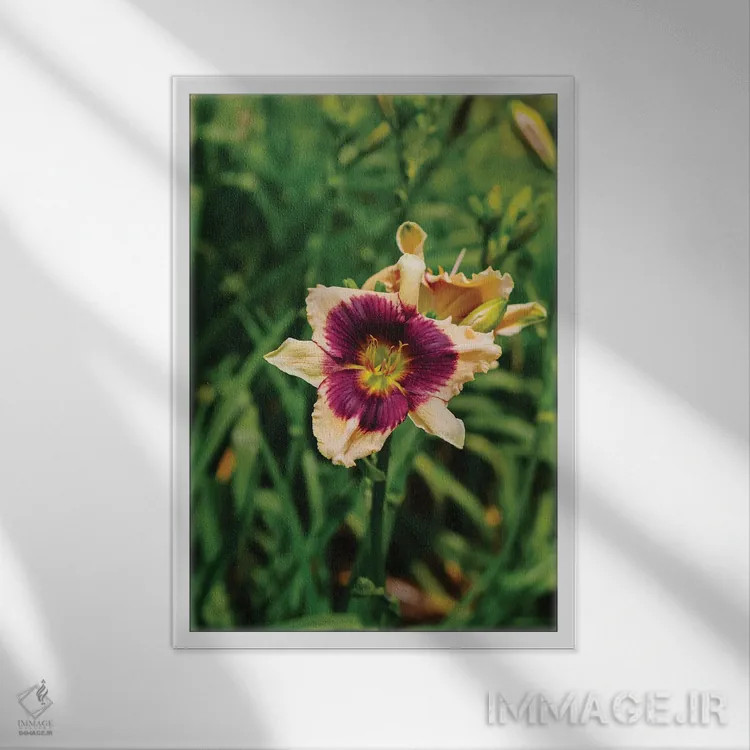 تابلو باغ سوسن روز ۵ اثر بثانی یانگ - نمای قابدار سفید