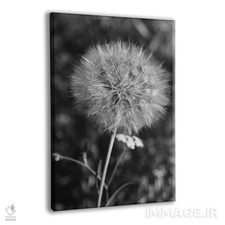 تابلو قاصدک تابستانی ۲ اثر بثانی یانگ - نمای پرسپکتیو محصول