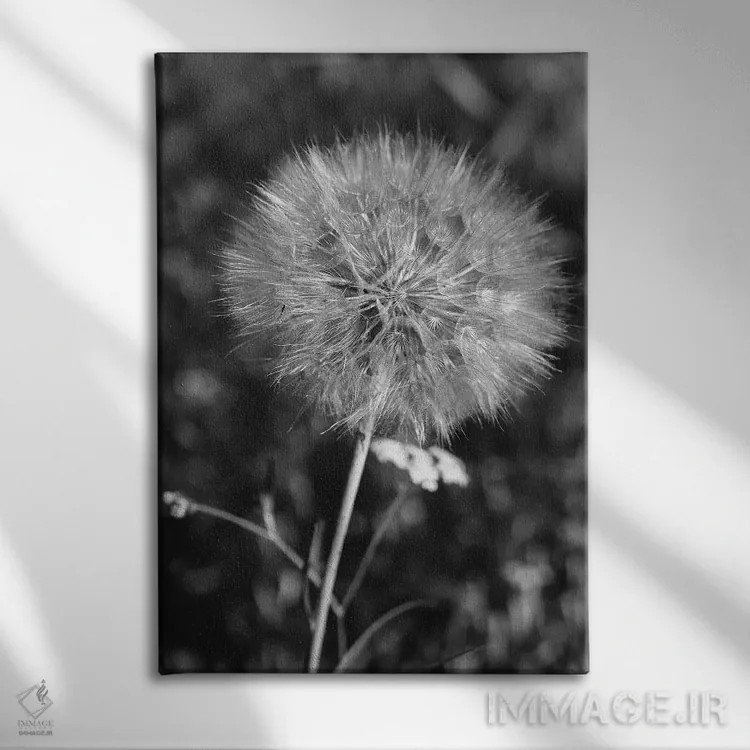 تابلو قاصدک تابستانی ۲ اثر بثانی یانگ - نمای روبهرو روی دیوار