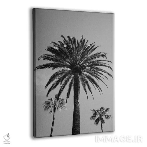 تابلو آسمان بورلی هیلز ۳ اثر بثانی یانگ - نمای پرسپکتیو محصول