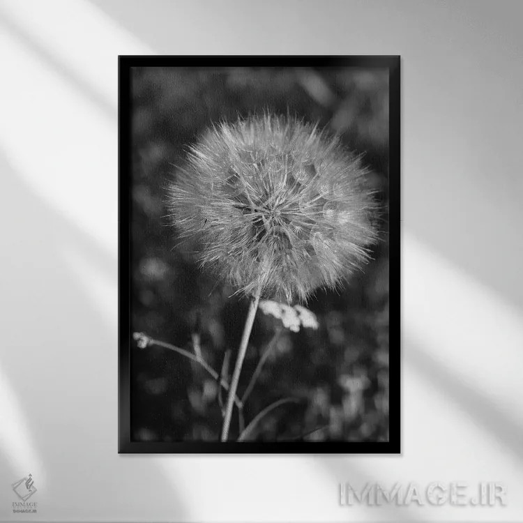 تابلو قاصدک تابستانی ۲ اثر بثانی یانگ - نمای قابدار مشکی