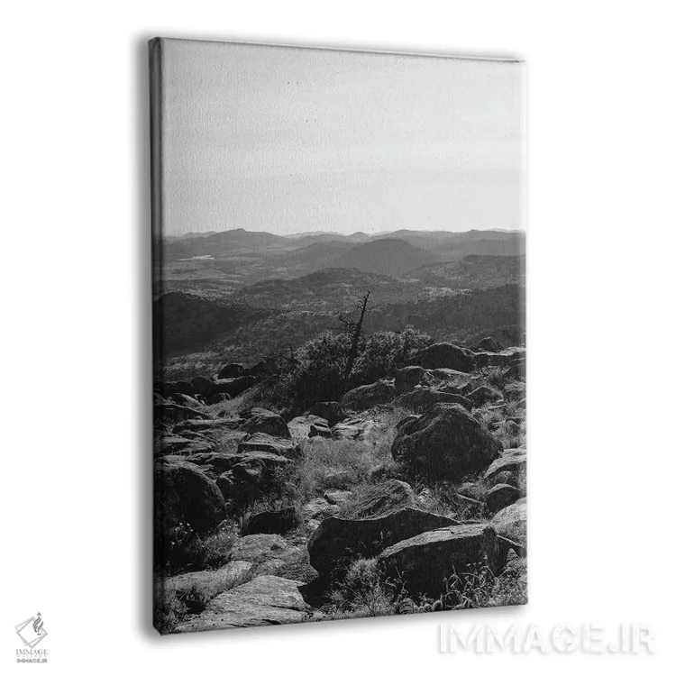 تابلو پناهگاه ملی حیات وحش کوهستان ویچیتا ۲ اثر بثانی یانگ - نمای پرسپکتیو محصول