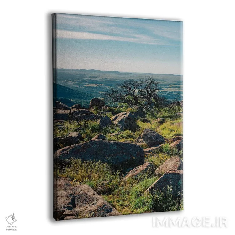 تابلو پناهگاه ملی حیات وحش کوهستان ویچیتا ۳ اثر بثانی یانگ - نمای پرسپکتیو محصول