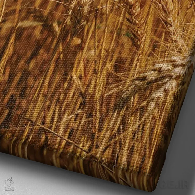 تابلو مزارع گندم تابستانی اثر بثانی یانگ - نمای نزدیک بافت بوم