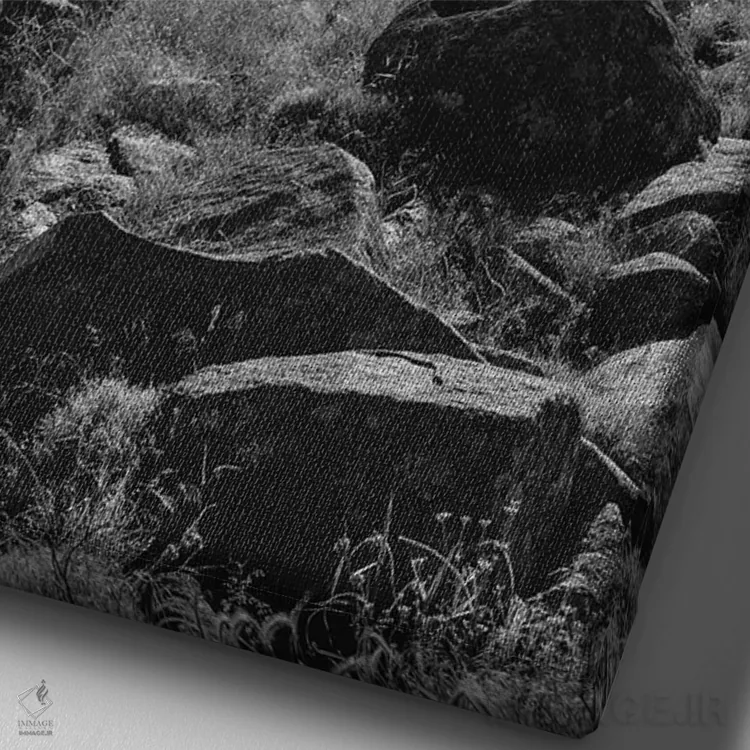 تابلو پناهگاه ملی حیات وحش کوهستان ویچیتا ۲ اثر بثانی یانگ - نمای نزدیک بافت بوم