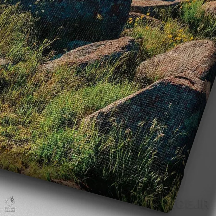 تابلو پناهگاه ملی حیات وحش کوهستان ویچیتا ۳ اثر بثانی یانگ - نمای نزدیک بافت بوم