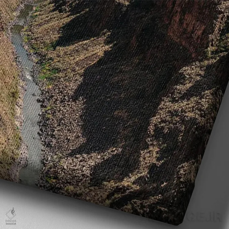 تابلو دره ریو گراند ۵ اثر بثانی یانگ - نمای نزدیک بافت بوم