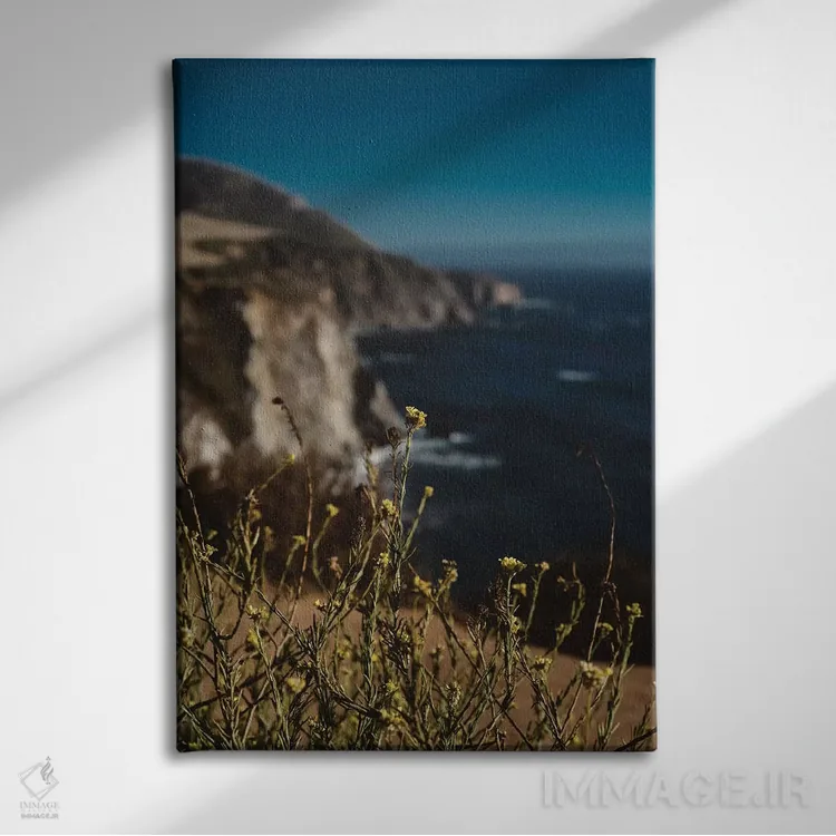 تابلو گلهای وحشی بیگ سور ۲ اثر بثانی یانگ - نمای روبهرو روی دیوار