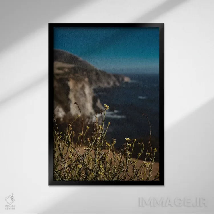 تابلو گلهای وحشی بیگ سور ۲ اثر بثانی یانگ - نمای قابدار مشکی