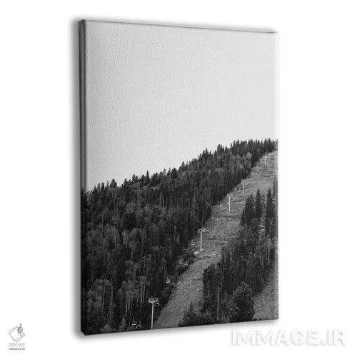 تابلو دره اسکی تائوس اثر بثانی یانگ - نمای پرسپکتیو محصول