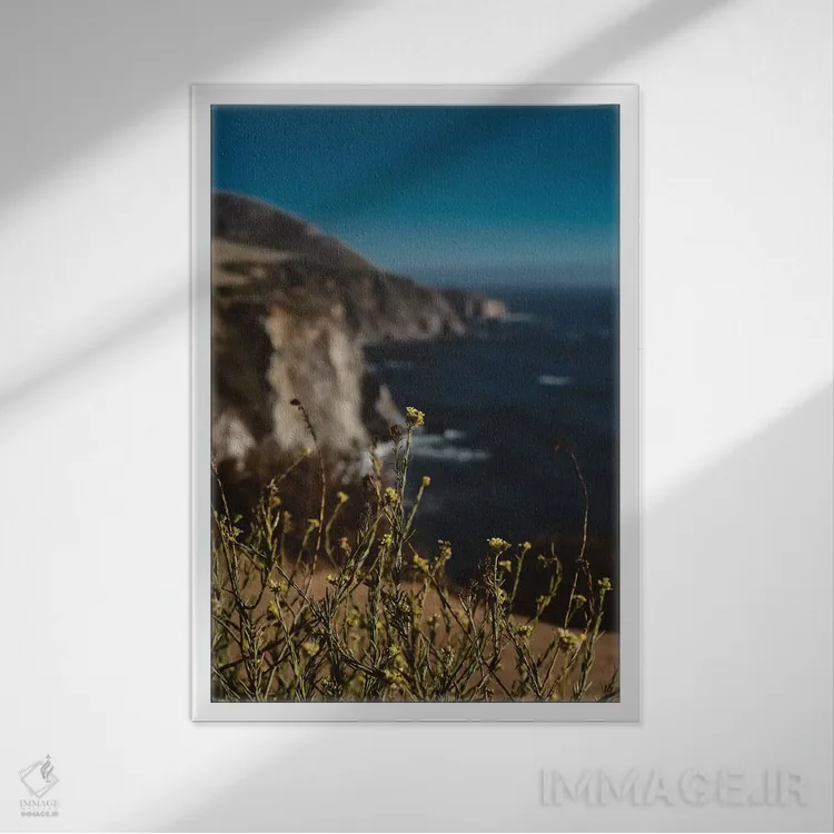 تابلو گلهای وحشی بیگ سور ۲ اثر بثانی یانگ - نمای قابدار سفید