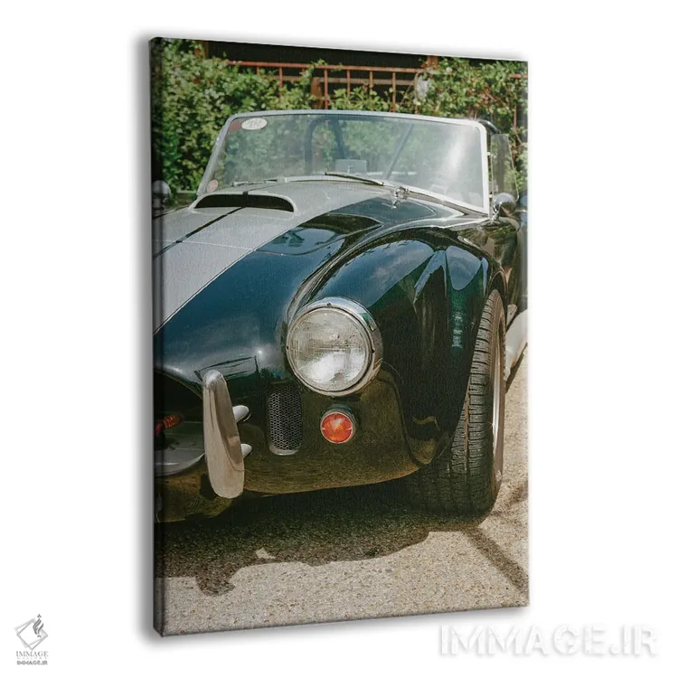 تابلو آستین تگزاس ۹ اثر بثانی یانگ - نمای پرسپکتیو محصول