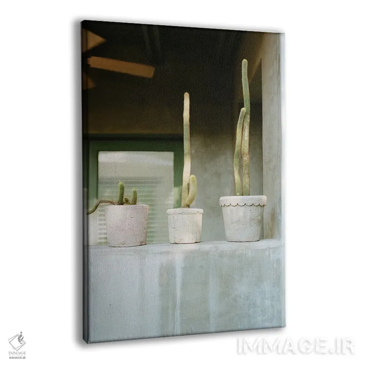 تابلو ایوان کاکتوس اثر بثانی یانگ - نمای پرسپکتیو محصول