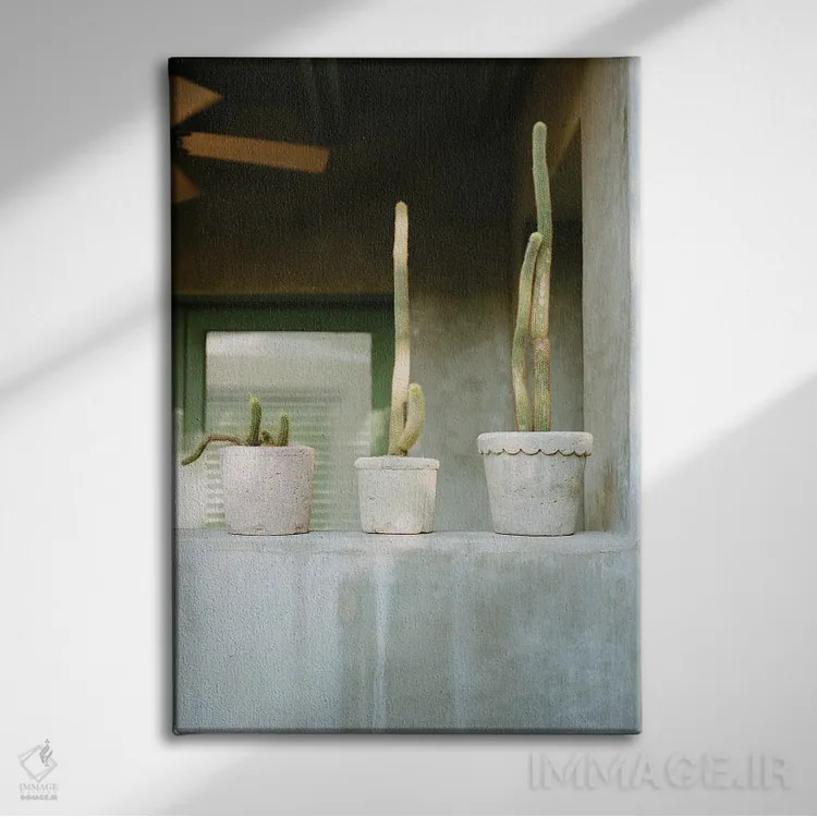 تابلو ایوان کاکتوس اثر بثانی یانگ - نمای روبهرو روی دیوار