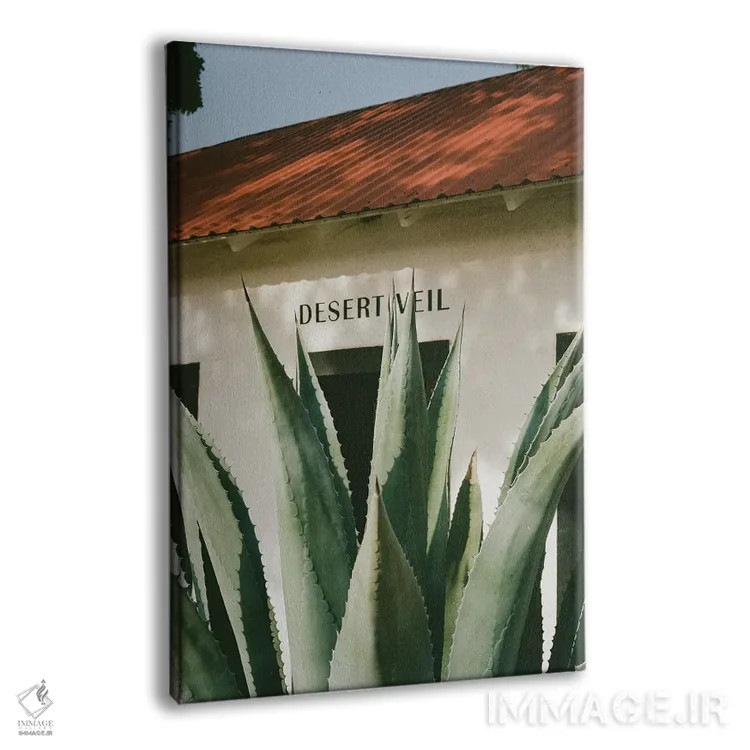 تابلو پرده بیابان اثر بثانی یانگ - نمای پرسپکتیو محصول