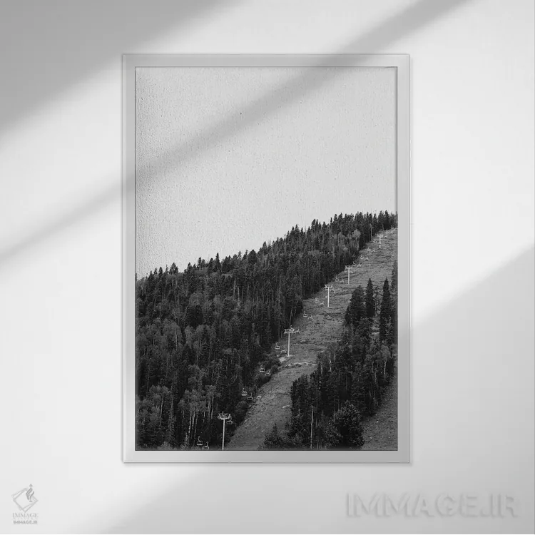 تابلو دره اسکی تائوس اثر بثانی یانگ - نمای قابدار سفید