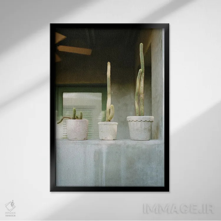 تابلو ایوان کاکتوس اثر بثانی یانگ - نمای قابدار مشکی