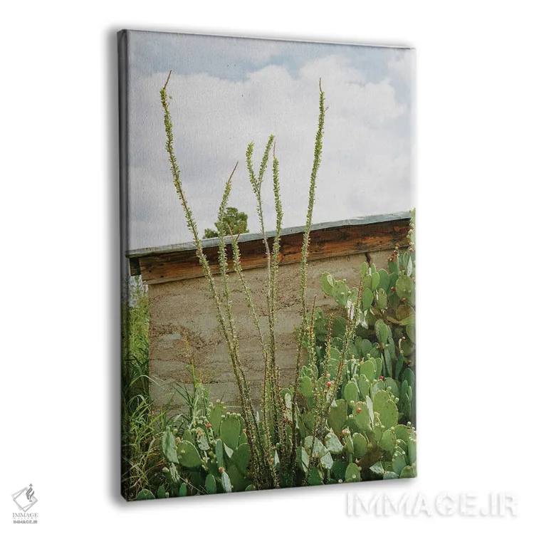 تابلو مارفا تگزاس ۹ اثر بثانی یانگ - نمای پرسپکتیو محصول