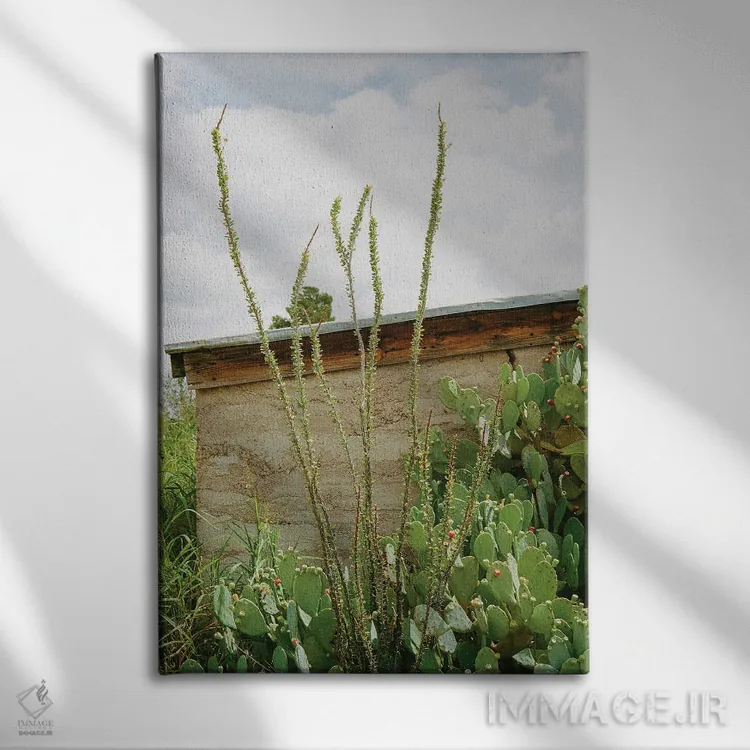 تابلو مارفا تگزاس ۹ اثر بثانی یانگ - نمای روبهرو روی دیوار