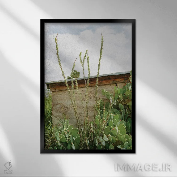 تابلو مارفا تگزاس ۹ اثر بثانی یانگ - نمای قابدار مشکی