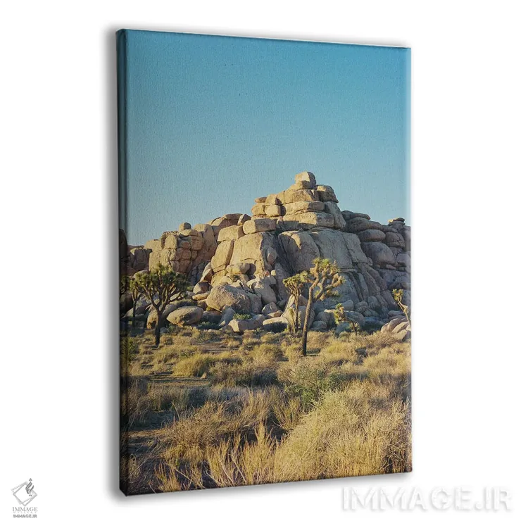 تابلو غروب جاشوا تری ۳ اثر بثانی یانگ - نمای پرسپکتیو محصول