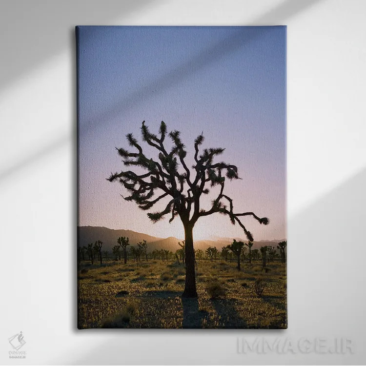 تابلو غروب جاشوا تری ۲ اثر بثانی یانگ - نمای روبهرو روی دیوار