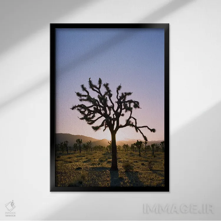 تابلو غروب جاشوا تری ۲ اثر بثانی یانگ - نمای قابدار مشکی