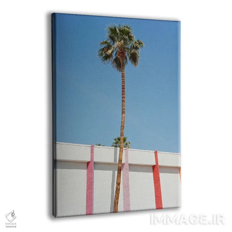 تابلو پالم اسپرینگز اثر بثانی یانگ - نمای پرسپکتیو محصول