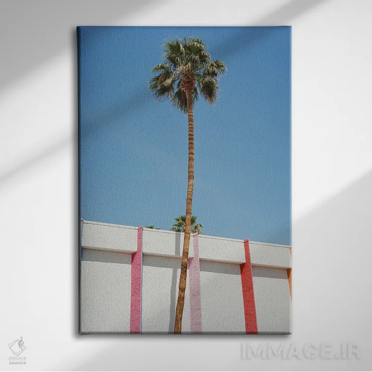 تابلو پالم اسپرینگز اثر بثانی یانگ - نمای روبهرو روی دیوار