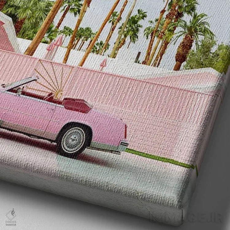 تابلو پالم اسپرینگز صورتی اثر بثانی یانگ - نمای نزدیک بافت بوم