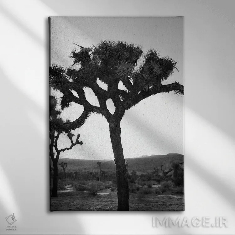 تابلو جاشوا تری تکرنگ روی نگاتیو اثر بثانی یانگ - نمای روبهرو روی دیوار