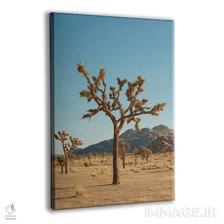 تابلو ماه جاشوا تری ۴ روی نگاتیو اثر بثانی یانگ - نمای پرسپکتیو محصول