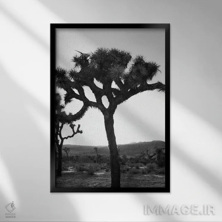 تابلو جاشوا تری تکرنگ روی نگاتیو اثر بثانی یانگ - نمای قابدار مشکی