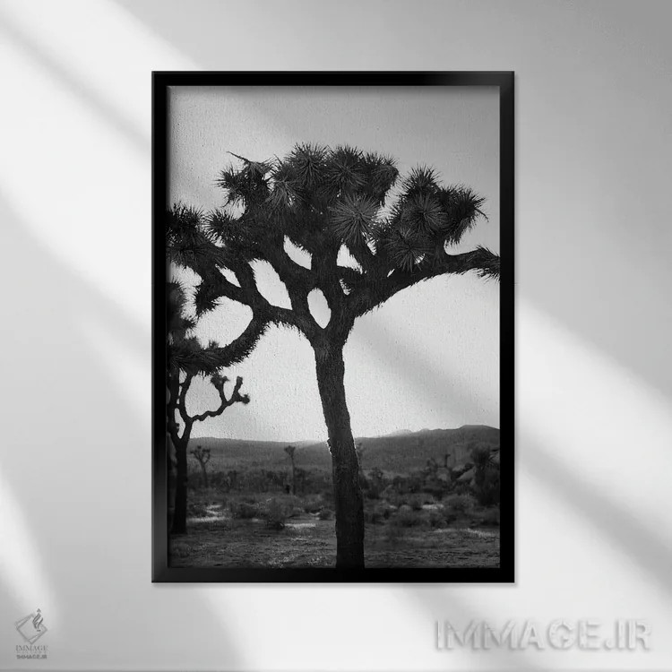 تابلو جاشوا تری تکرنگ روی نگاتیو اثر بثانی یانگ - نمای قابدار مشکی
