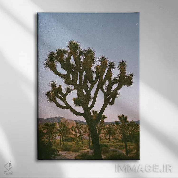 تابلو ماه جاشوا تری ۸ روی نگاتیو اثر بثانی یانگ - نمای روبهرو روی دیوار