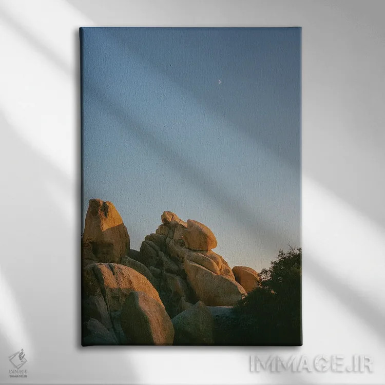 تابلو ماه جاشوا تری ۱۰ روی نگاتیو اثر بثانی یانگ - نمای روبهرو روی دیوار