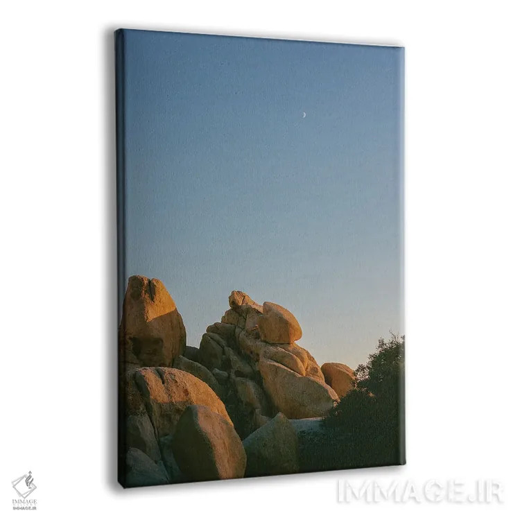 تابلو ماه جاشوا تری ۱۰ روی نگاتیو اثر بثانی یانگ - نمای پرسپکتیو محصول