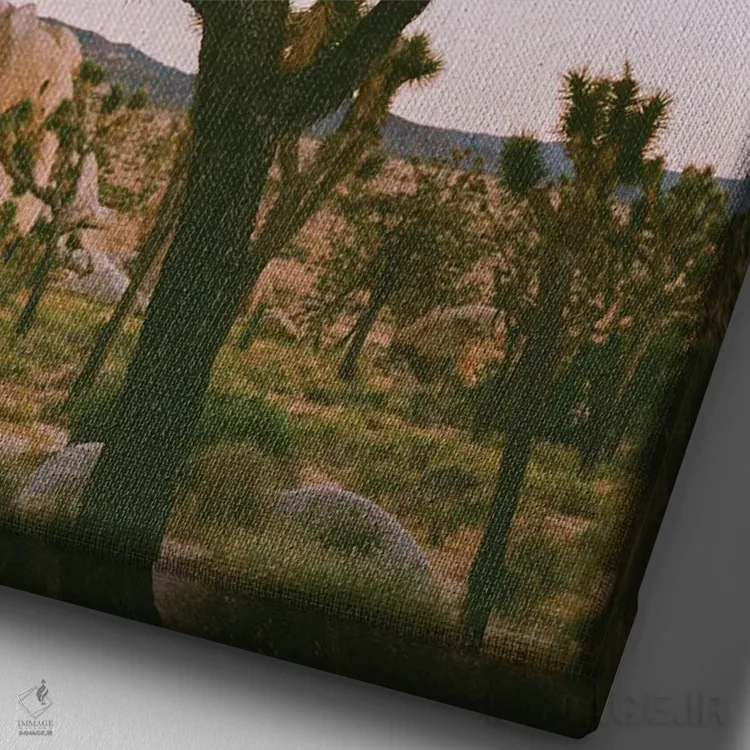 تابلو ماه جاشوا تری ۸ روی نگاتیو اثر بثانی یانگ - نمای نزدیک بافت بوم