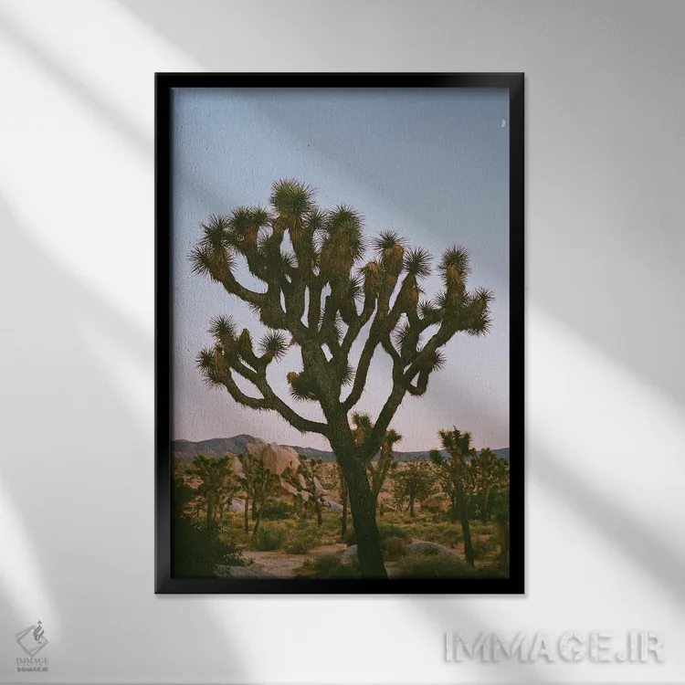 تابلو ماه جاشوا تری ۸ روی نگاتیو اثر بثانی یانگ - نمای قابدار مشکی