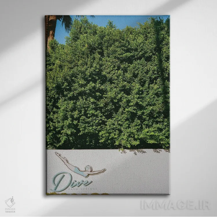 تابلو شیرجه در پالم اسپرینگز روی نگاتیو اثر بثانی یانگ - نمای روبهرو روی دیوار