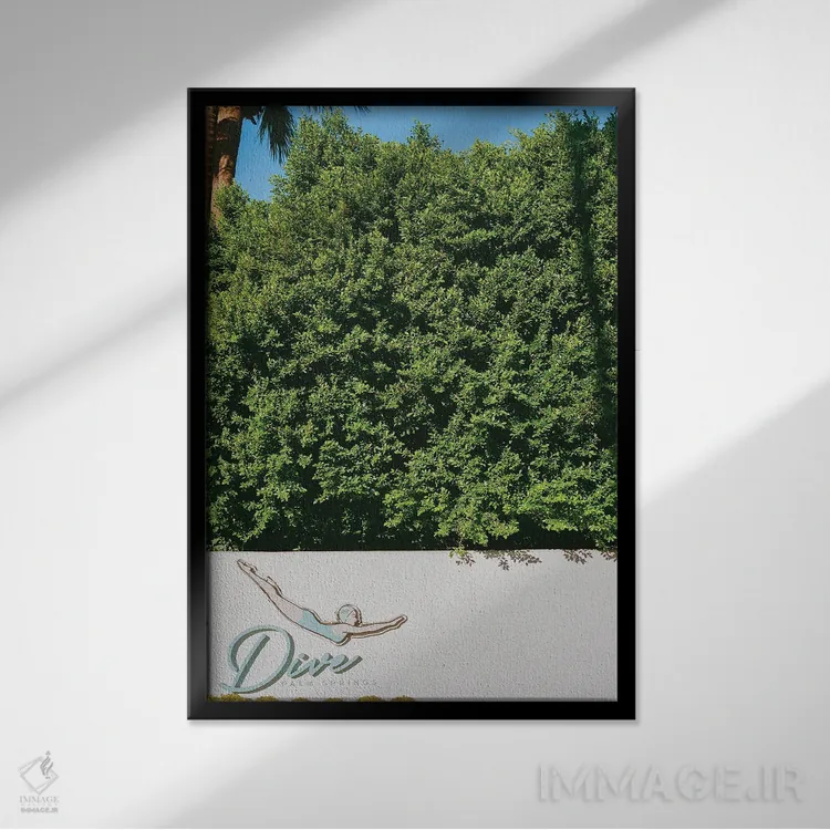 تابلو شیرجه در پالم اسپرینگز روی نگاتیو اثر بثانی یانگ - نمای قابدار مشکی