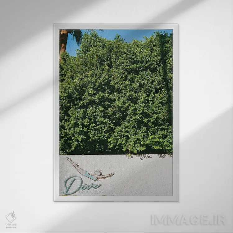 تابلو شیرجه در پالم اسپرینگز روی نگاتیو اثر بثانی یانگ - نمای قابدار سفید