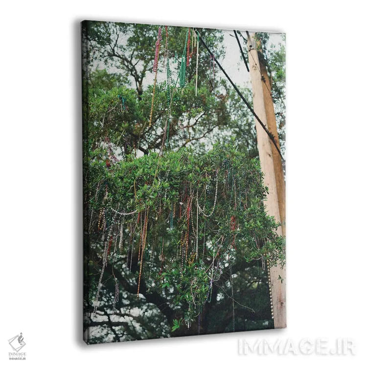 تابلو مهرههای نیواورلئان ۲ روی نگاتیو اثر بثانی یانگ - نمای پرسپکتیو محصول