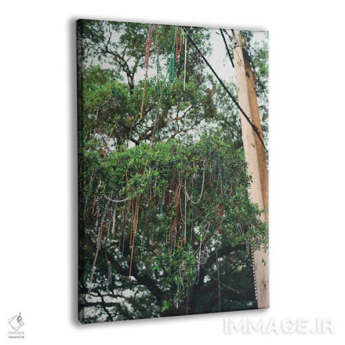 تابلو مهرههای نیواورلئان ۲ روی نگاتیو اثر بثانی یانگ - نمای پرسپکتیو محصول