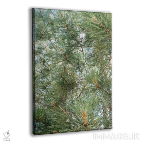 تابلو دریاچه تاهو ۹ اثر بثانی یانگ - نمای پرسپکتیو محصول