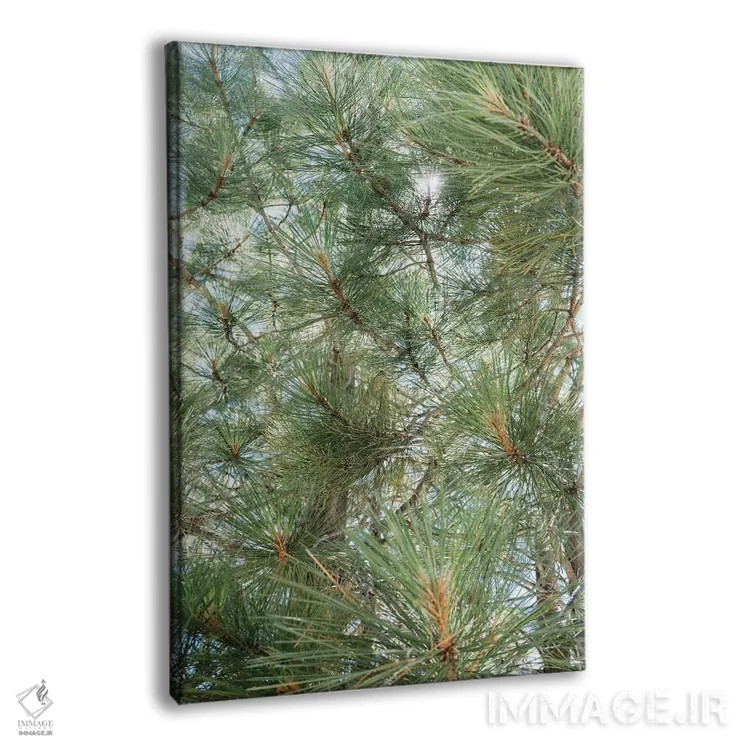 تابلو دریاچه تاهو ۹ اثر بثانی یانگ - نمای پرسپکتیو محصول