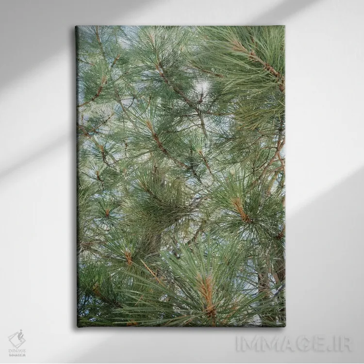 تابلو دریاچه تاهو ۹ اثر بثانی یانگ - نمای روبهرو روی دیوار