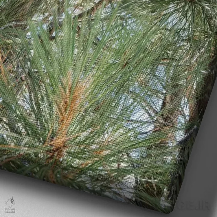 تابلو دریاچه تاهو ۹ اثر بثانی یانگ - نمای نزدیک بافت بوم