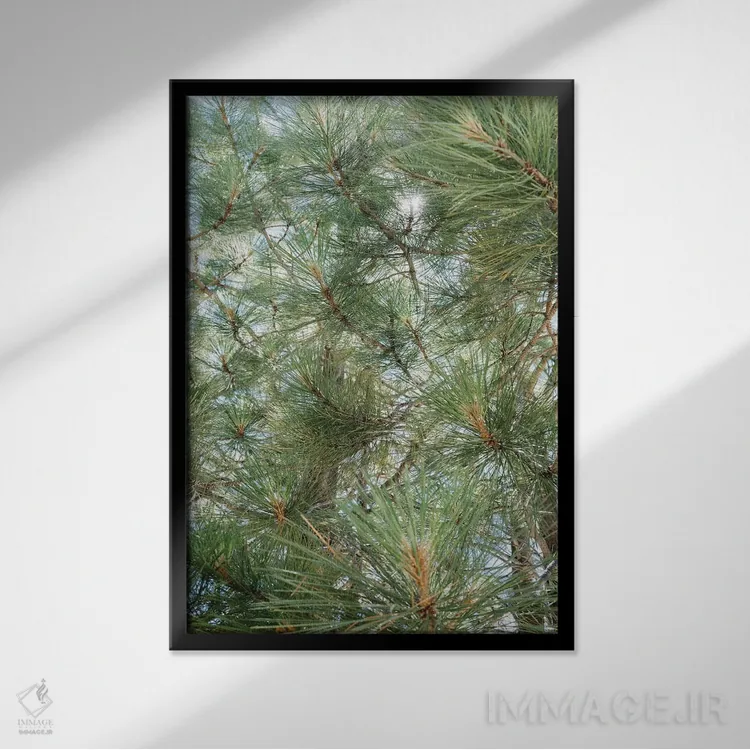 تابلو دریاچه تاهو ۹ اثر بثانی یانگ - نمای قابدار مشکی